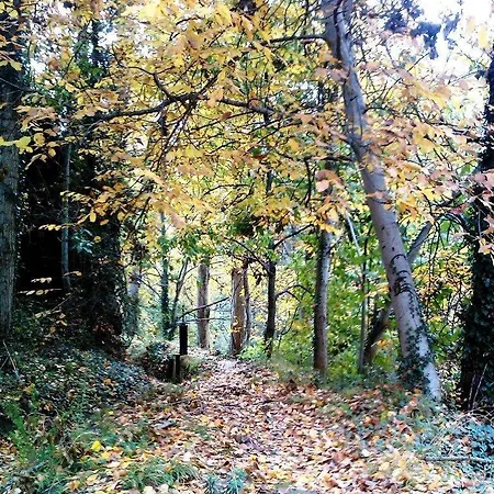 Ruralmedulas Casa 2 Σπίτι διακοπών La Campanana