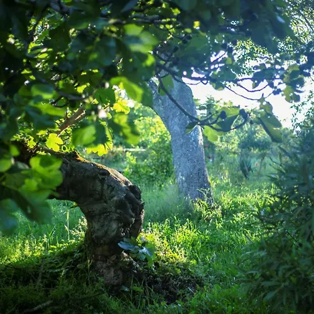 Σπίτι διακοπών Ruralmedulas Casa 2 *